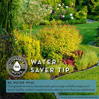 water saver tip