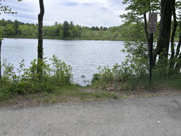 small break in shoreline vegetation where boat can be launched