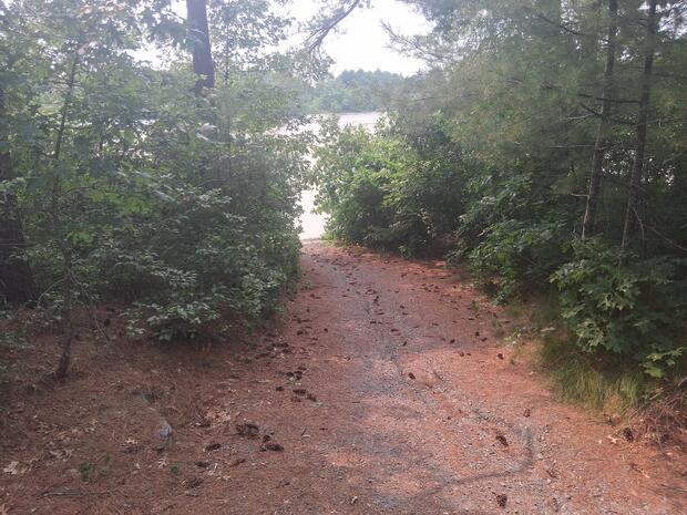 Narrow path lined by bushes ending at waters edge