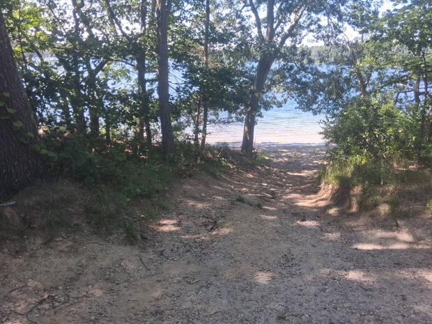 narrow rutted sand path with roots leading to shoreline