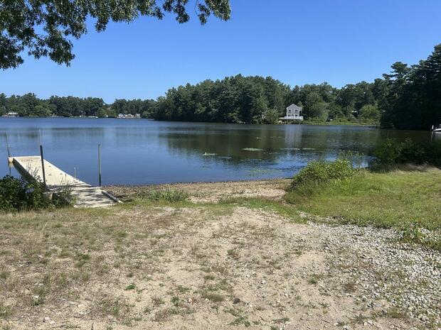 sandy shore with grass and dock overlooking water
