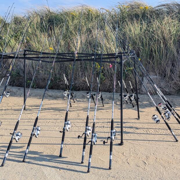 Several rods and reels next to the shore.