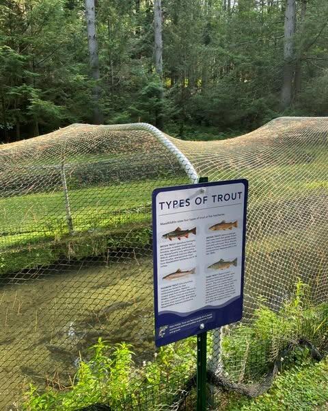 informational sign in front of hatchery pool