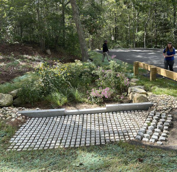a bioretention area filled with native plants fronted by a sediment forebay