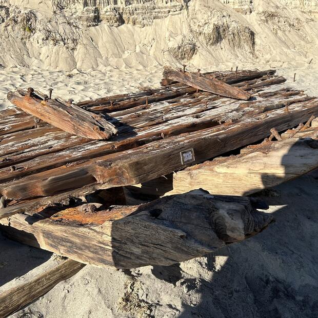 A large section of a wooden shipwreck on a beach with a STAMP tag