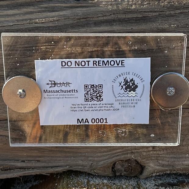 Close up of a STAMP tag affixed to a timber with the QR code