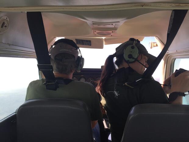 Mapping Gypsy Moth Defoliation