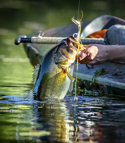 best all around bass fishing line