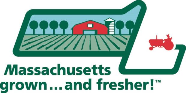 MassGrown logo