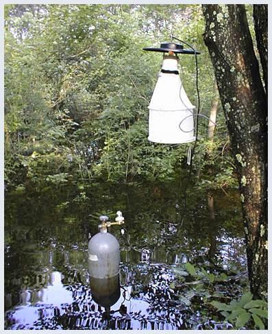 Mosquito Surveillance - Mass.gov Mosquito Surveillance - 웹
