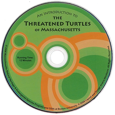 threatened turtles of Massachusetts