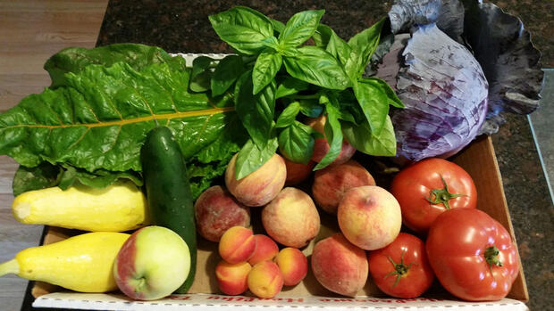 CSA box of vegetables. 