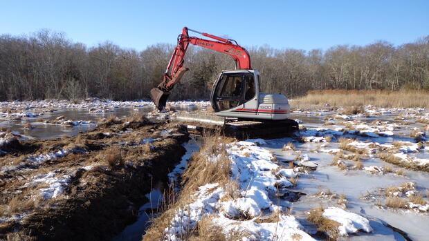 Marsh management 1