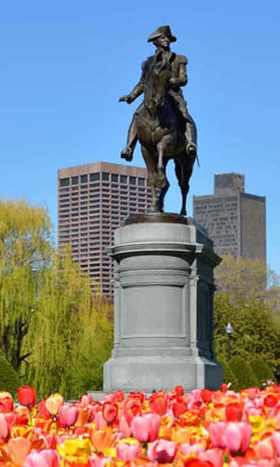 Boston public garden tulips and statue