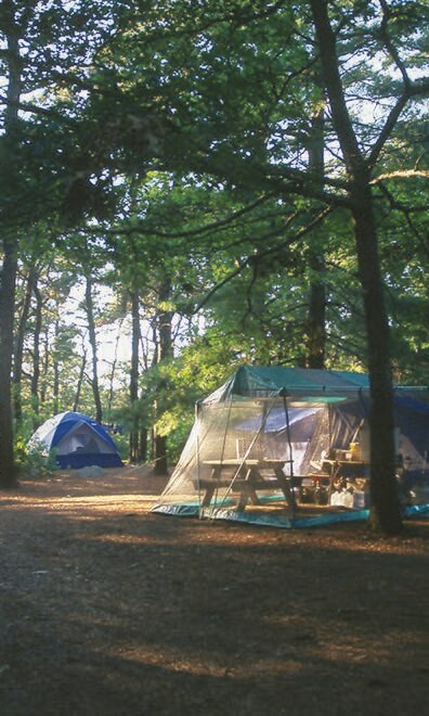 nickerson yurt