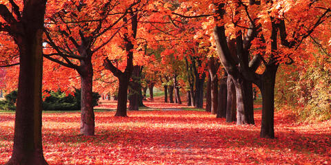 Division of Local Services Fall Update | Mass.gov