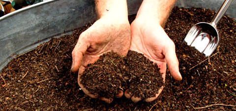 composting organics mass gov
