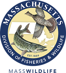 Division of Fisheries and Wildlife