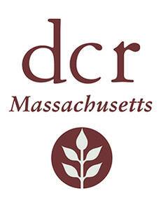 dcr logo