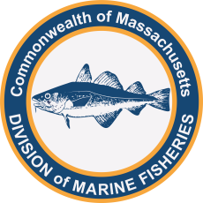 Division of Marine Fisheries logo.