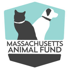 Mass Animal Fund Meeting 