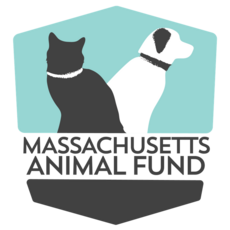 Mass Animal Fund Meeting 