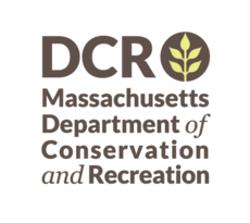 dcr logo