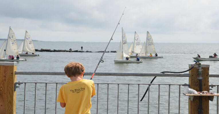 Recreational Saltwater Fishing | Mass.gov