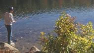 Douglas State Forest