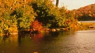Savoy Mountain State Forest