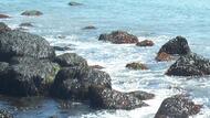 Lynn Shore & Nahant Beach Reservation