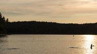 Chicopee Memorial State Park