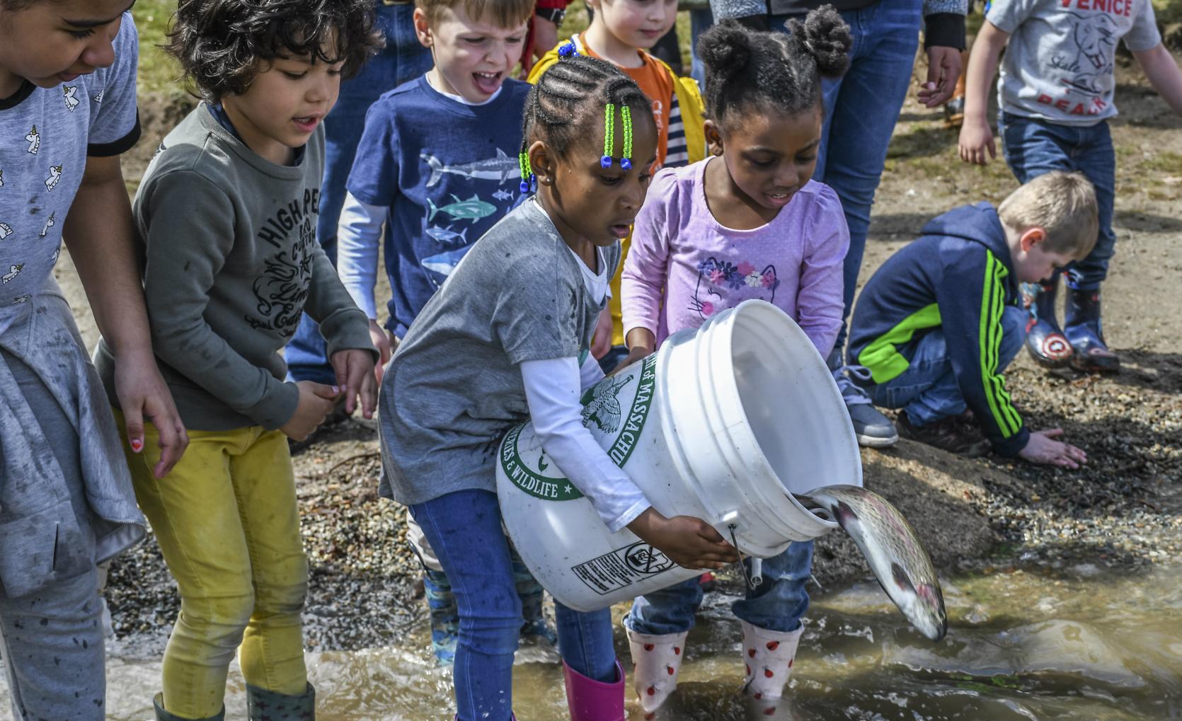 Children helping with trout stocking