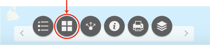 basemap toggle image
