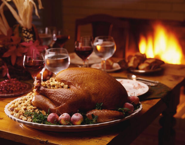 Thanksgiving turkey